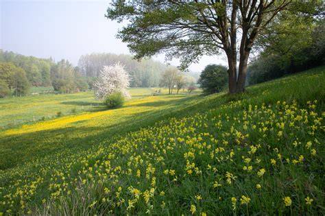 Nordisch landschap met seizoensproducten